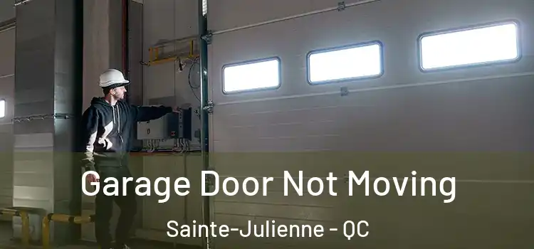  Garage Door Not Moving Sainte-Julienne - QC